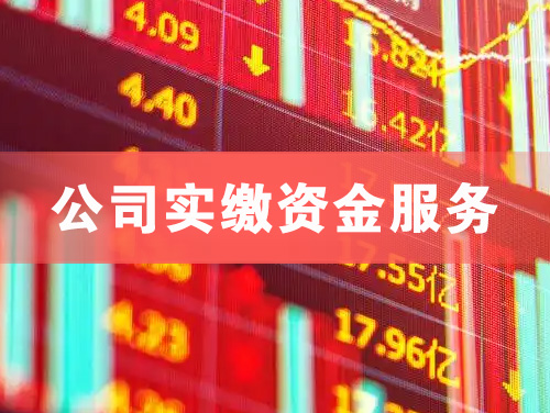 武威公司实缴资金服务