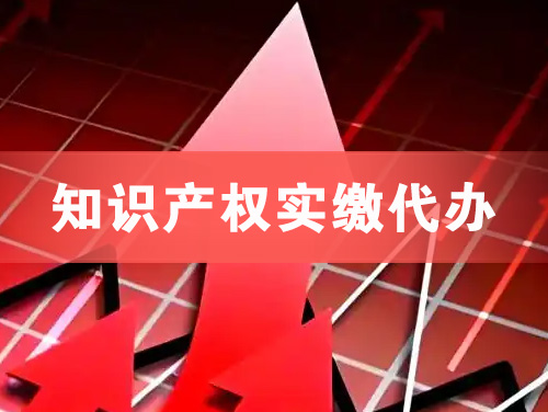 武威知识产权实缴资本代办